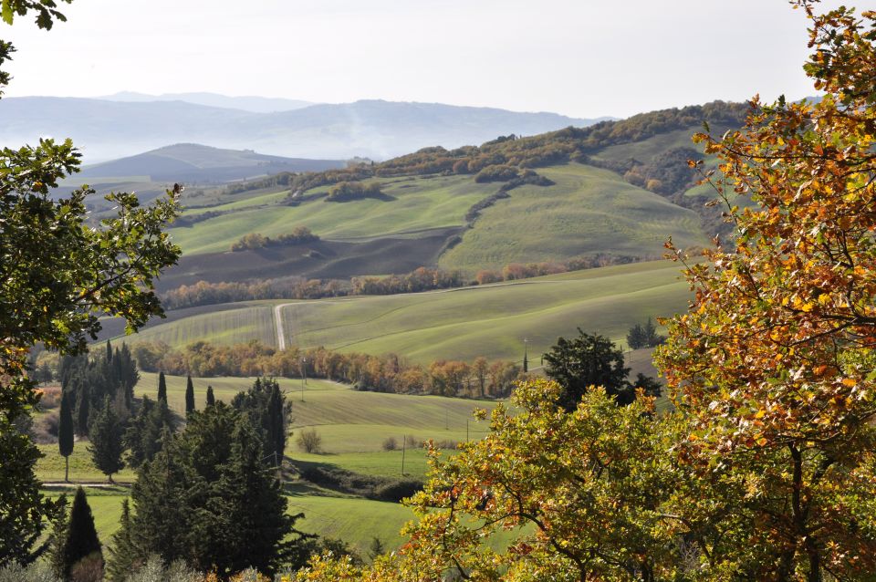 From Florence: Val D’orcia Full-Day Wine Tasting Tour