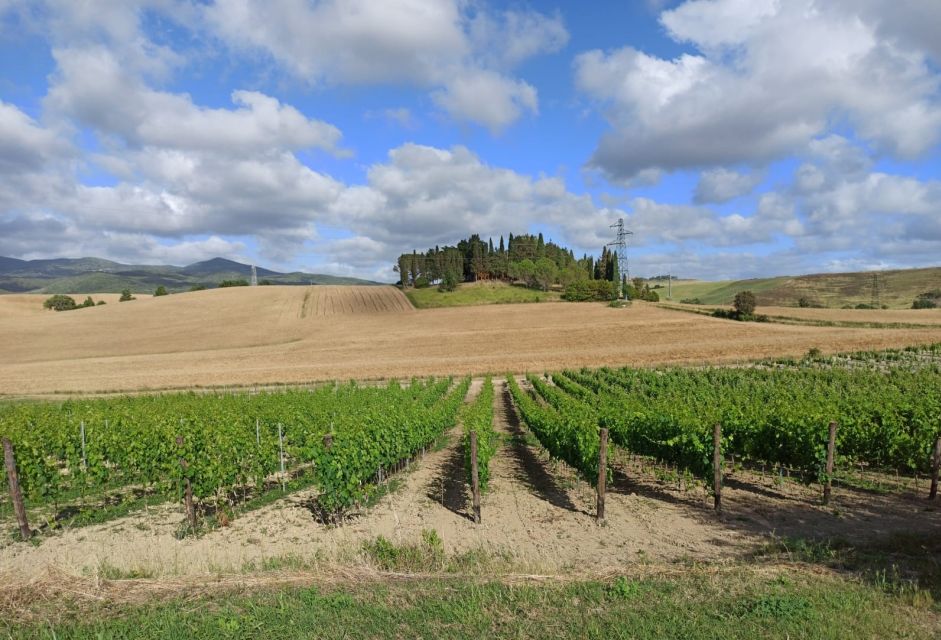 From Florence: Visit Pisa and Siena With Tasting in Chianti