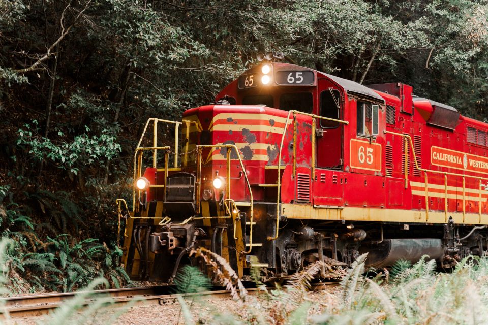 From Fort Bragg: Redwoods Train Ride and Nightclub Ticket