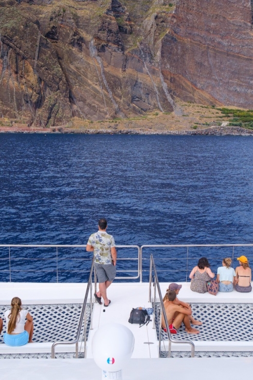 From Funchal: Ecological Catamaran Dolphin Whale Watching