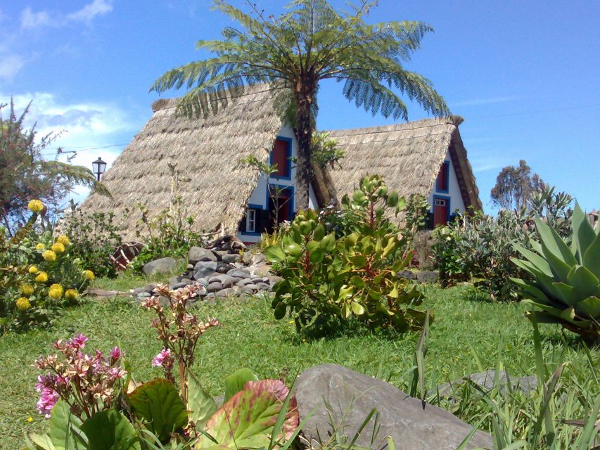 From Funchal: Laurel Forest A-framed Houses Tour