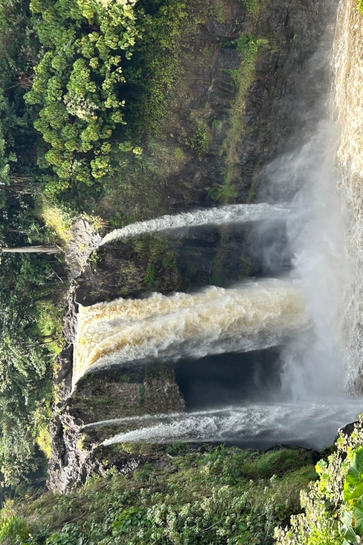 From Hilo: Hawaii Volcanoes National Park Tour - Tour Details