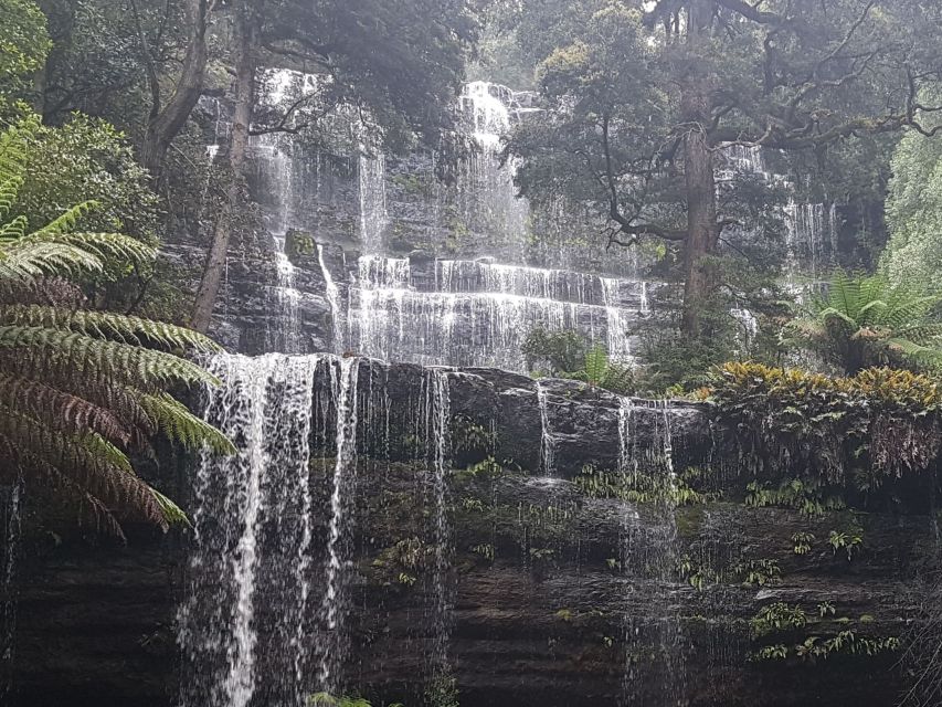 From Hobart: 2 Day Cradle Mountain Tour