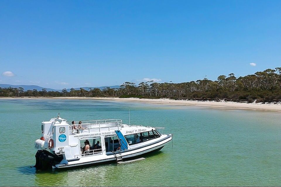 From Hobart: Day Trip to Maria Island With Hotel Pickup