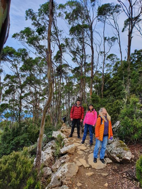 From Hobart: Mt Wellington Morning Walking Tour