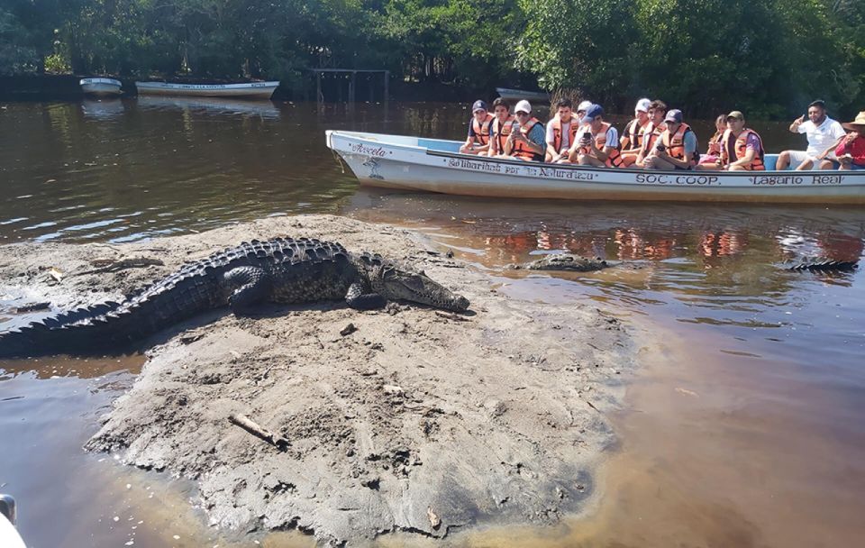 From Huatulco: Crocodiles and Turtles Eco Tour