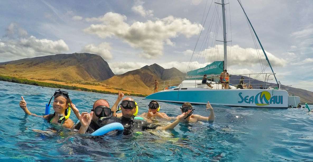 From Kaanapali: Afternoon West Maui Snorkeling & Sea Turtles