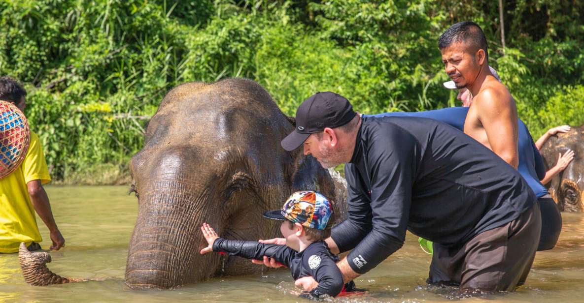 From Khao Lak: Day Trip to Khao Sok With Elephant Camp Visit