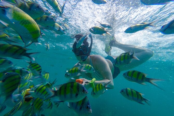 From Khao Lak or Khok Kloi: Phi Phi Islands Adventure Day Trip With Lunch