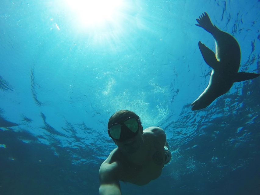 From La Paz: Swim With Sea Lions & Espíritu Santo Boat Tour