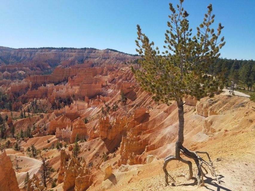 From Las Vegas: Zion and Bryce Canyon Guided Day Tour