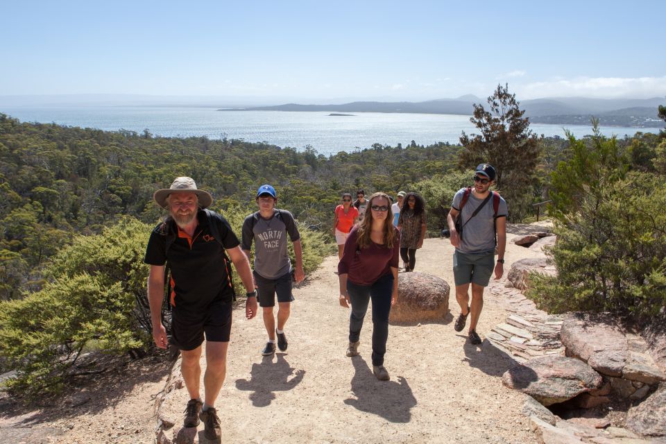 From Launceston: Full-Day Wineglass Bay Explorer Tour