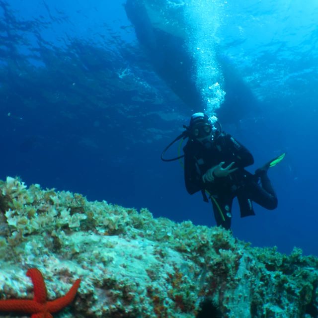 From Lerici: Scuba Diving Lessons and Dive in Portovenere