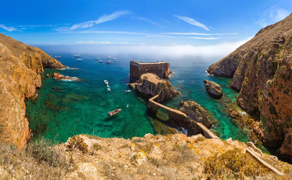 From Lisbon: Berlenga Grande Island Private Tour