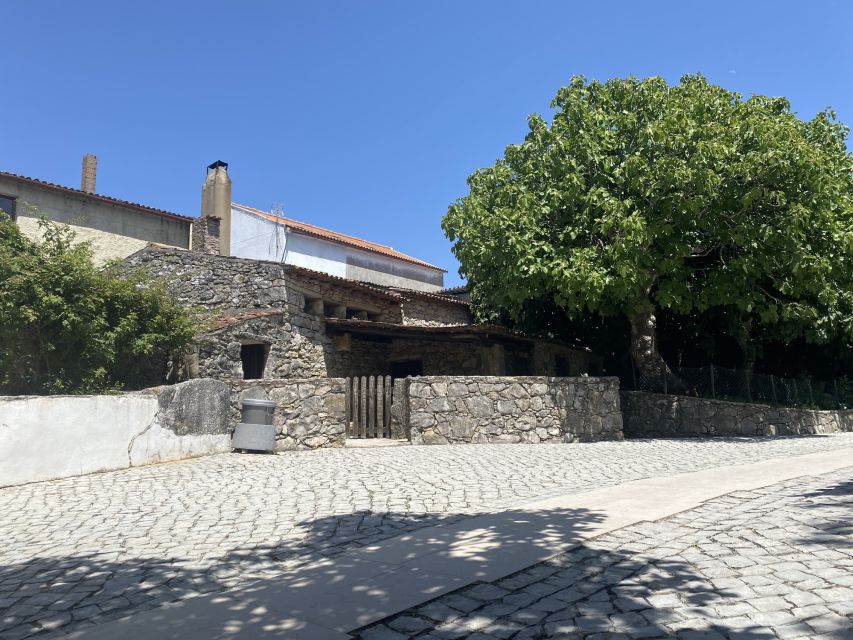 From Lisbon: Sanctuary of Fatima & Little Shepherds Village