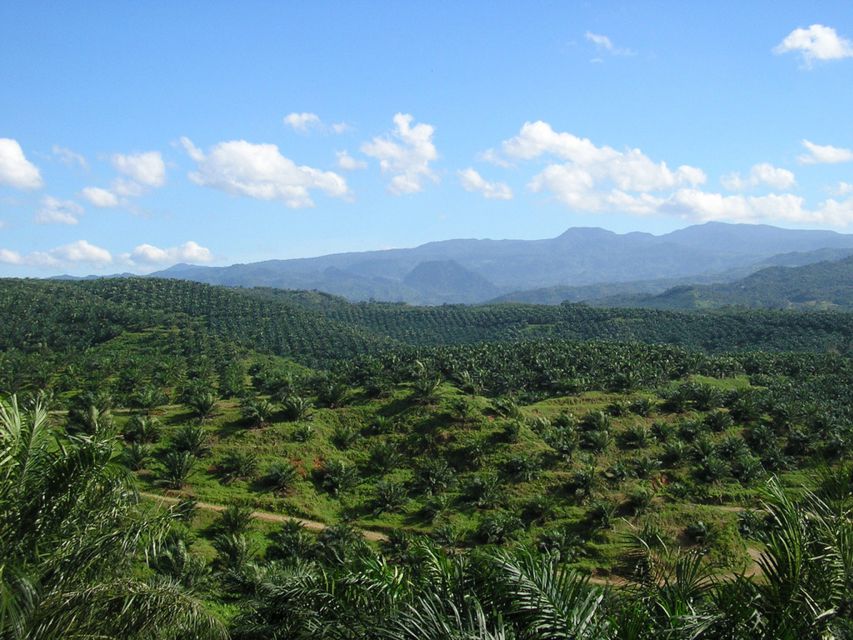 From Medan: Mount Leuser National Park Full-Day Trip - Trip Details