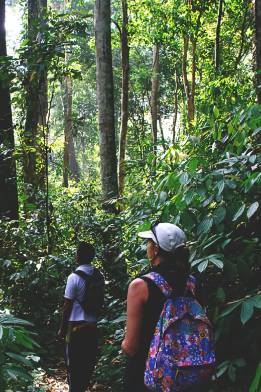 From Medan: Mount Leuser National Park Full-Day Trip