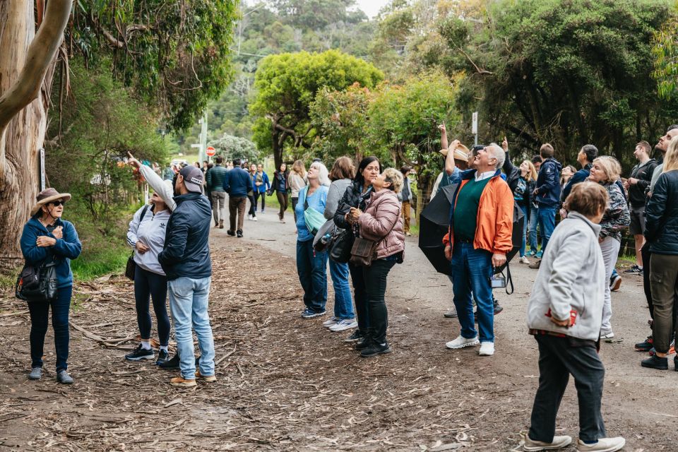 From Melbourne: Great Ocean Road Full-Day Trip - Trip Details