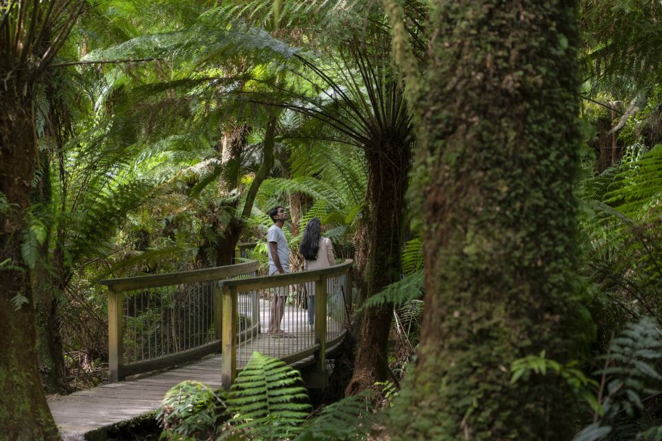 From Melbourne: Great Ocean Road Reverse Eco Tour - Tour Details