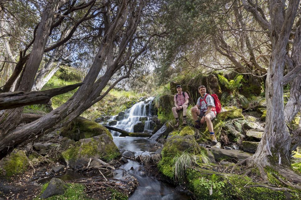 From Melbourne: LGBTQ+ Great Ocean Road Private Day Tour - Tour Details