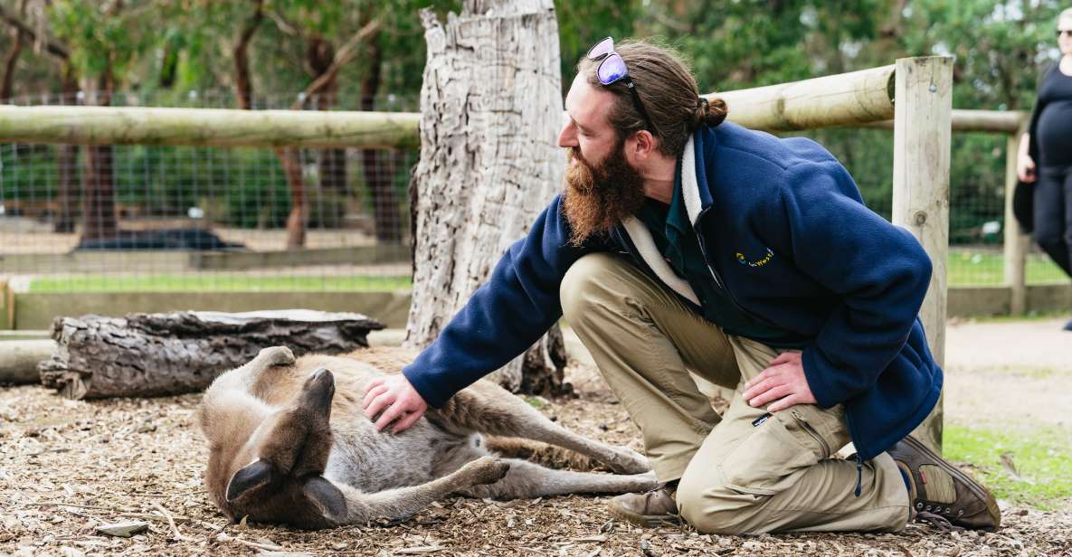 From Melbourne: Phillip Island Eco Wildlife Tour