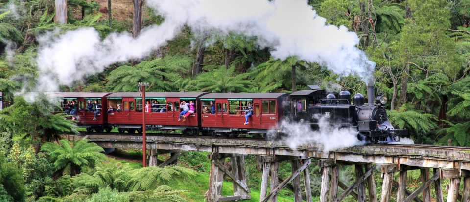 From Melbourne: Puffing Billy and Penguin Parade Combo Tour