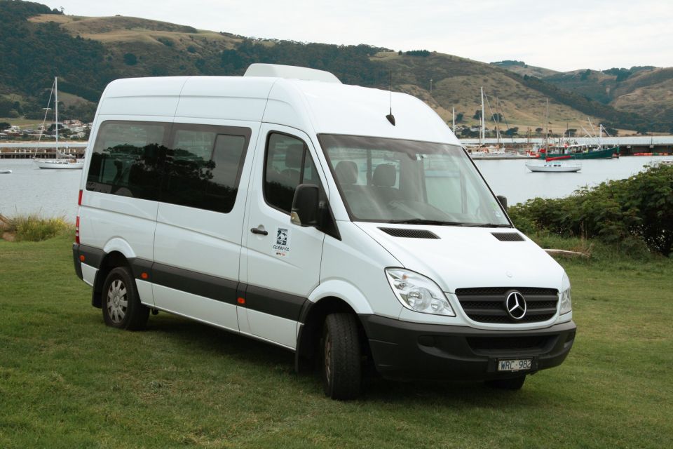 From Melbourne: Small Group Great Ocean Road Tour