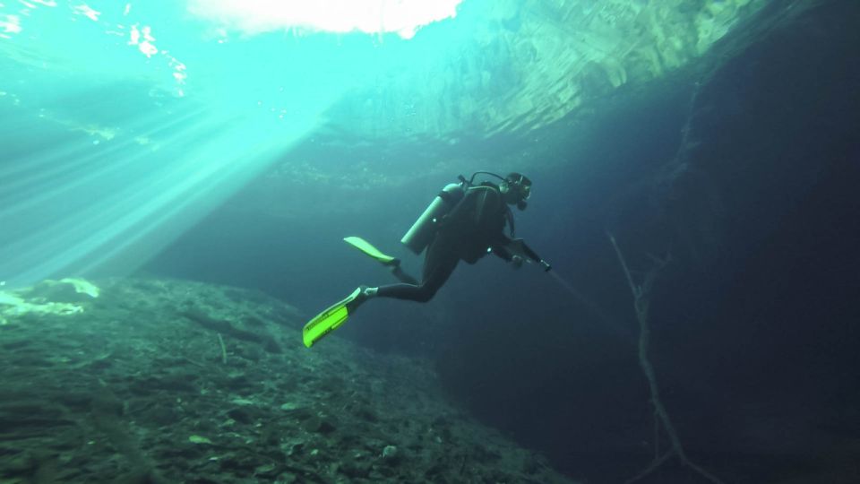 From Merida: Explore Two Cenotes Tour With Lunch