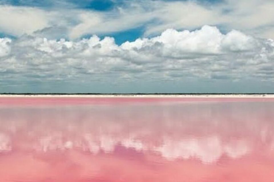 From Merida: Tour to Las Coloradas and Rio Lagartos - Tour Details