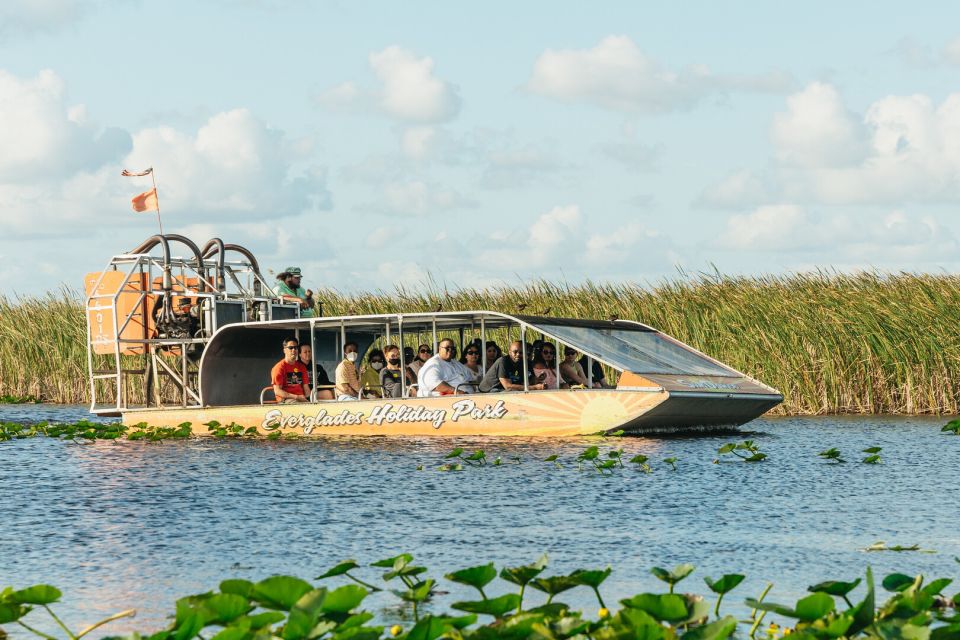 From Miami: Everglades Airboat, Wildlife Show & Bus Transfer