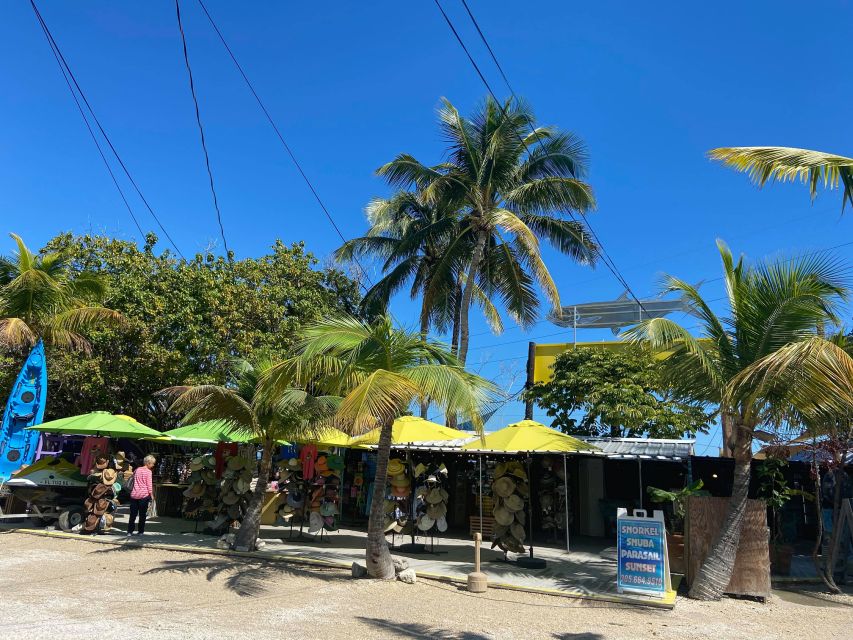 From Miami: Key Largo & Islamorada Private Open-Top Bus Tour