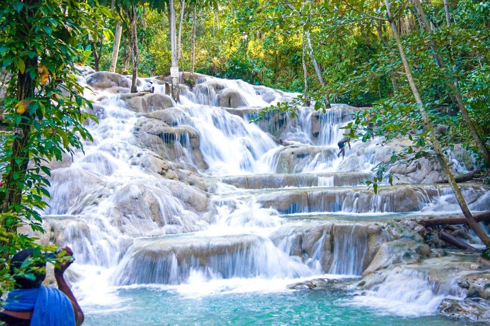 From Montego Bay: Bob Marley 9 Mile & Dunns River Falls Tour