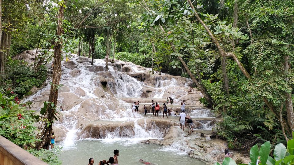 From Montego Bay: Dunn's River Falls Experience - Overview of Dunns River Falls