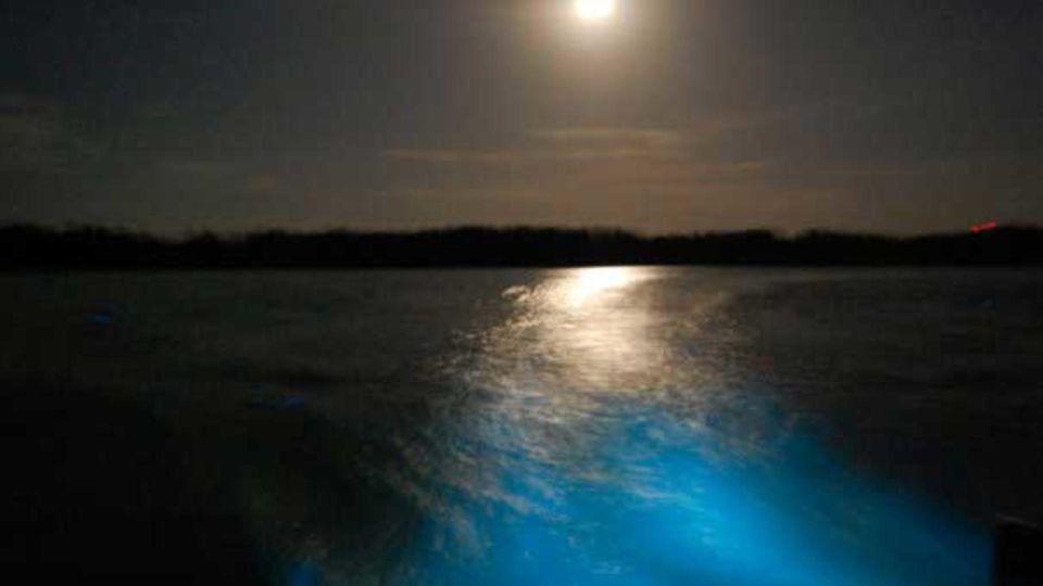 From Montego Bay: Luminous Lagoon Nighttime Boat Tour