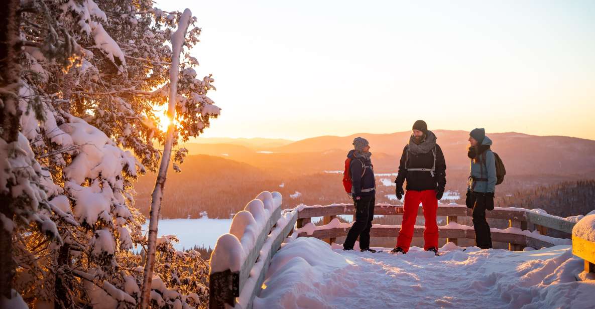 From Montreal: Mont-Tremblant National Park Hiking Day Trip