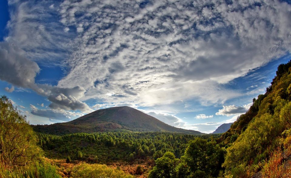 From Naples: Mt. Vesuvius VIP Tour/Small Group - Tour Duration and Details