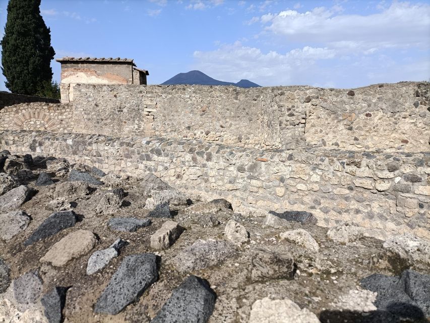 From Naples: Pompeii & Peastum Guided Tours