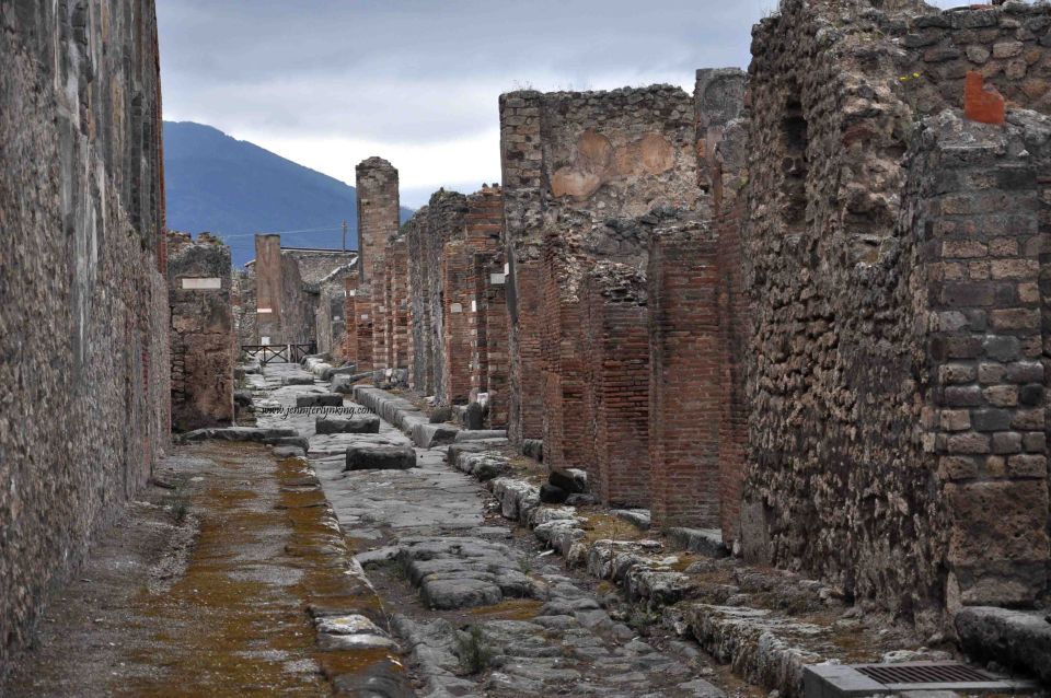 From Naples: Private Guided Tour of Pompeii
