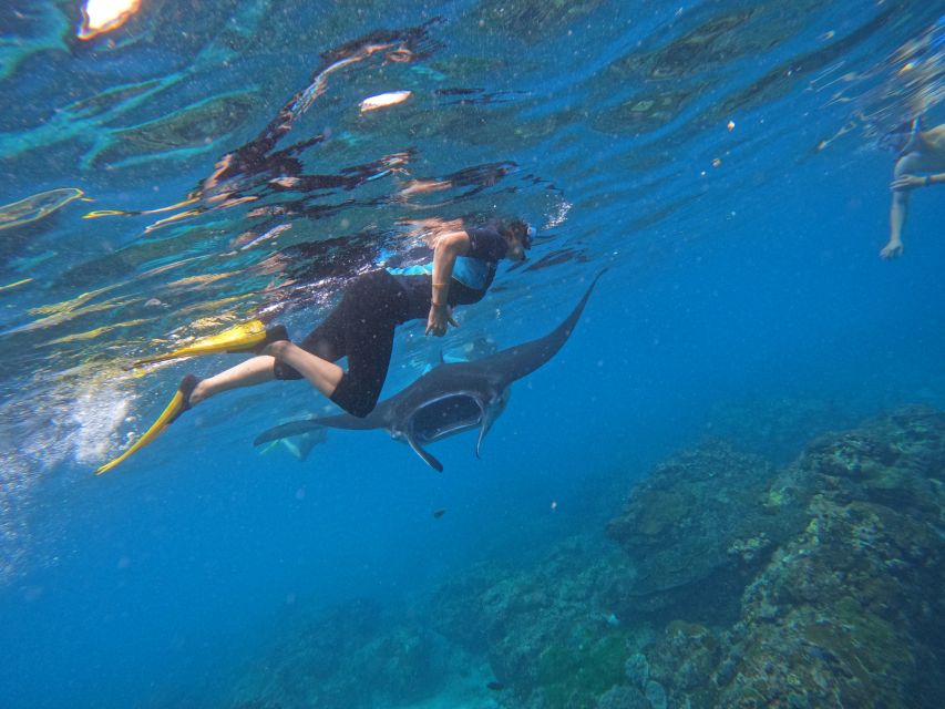 From Nusa Penida: 3 Spots Snorkeling Tour With Manta Rays - Activity Overview