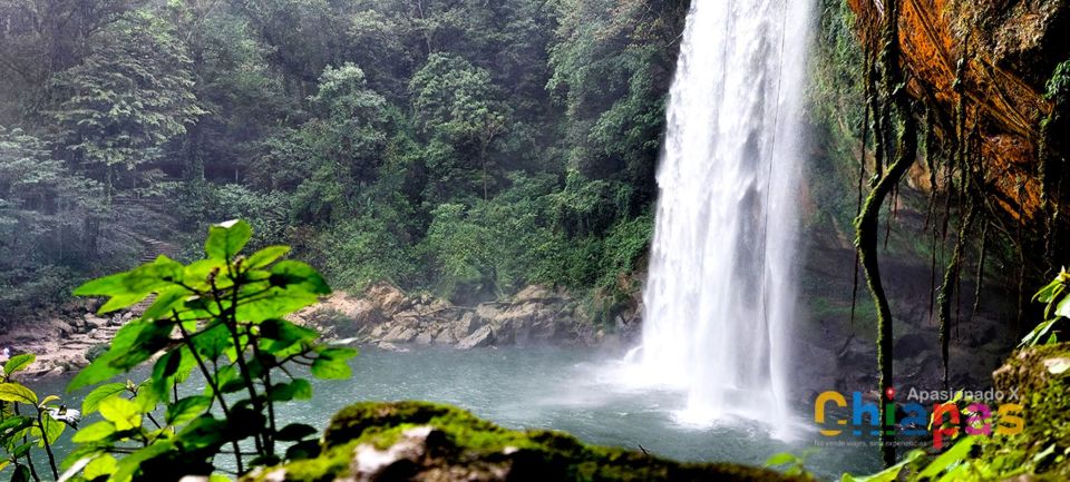 From Ocosingo: Agua Azul and Misol-ha Private Tour