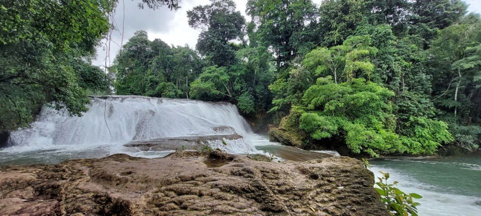 From Palenque:Wonders of the Roberto Barrios Waterfalls Tour