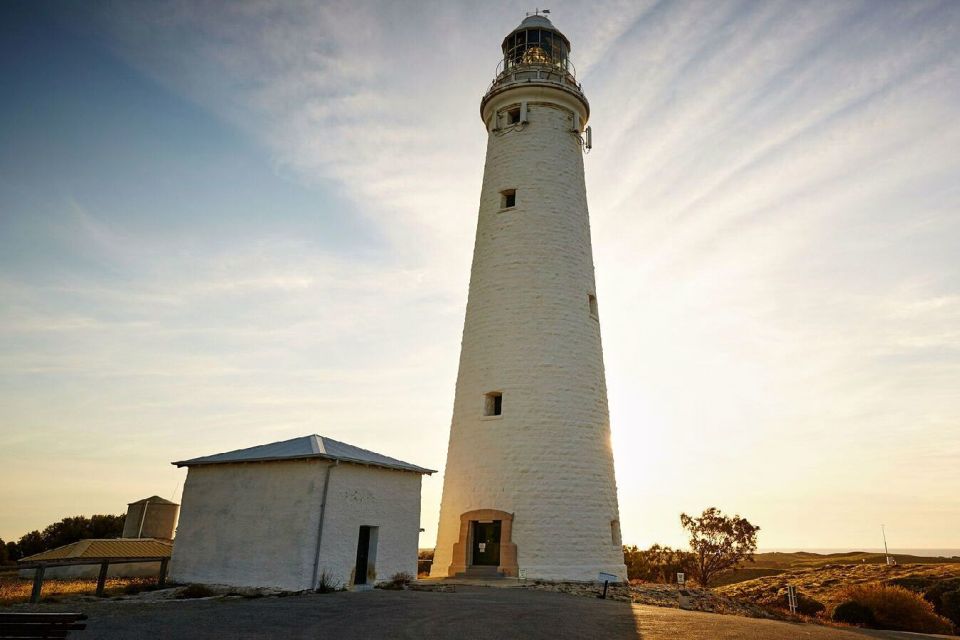 From Perth or Fremantle: Rottnest Island Ferry and Bus Tour