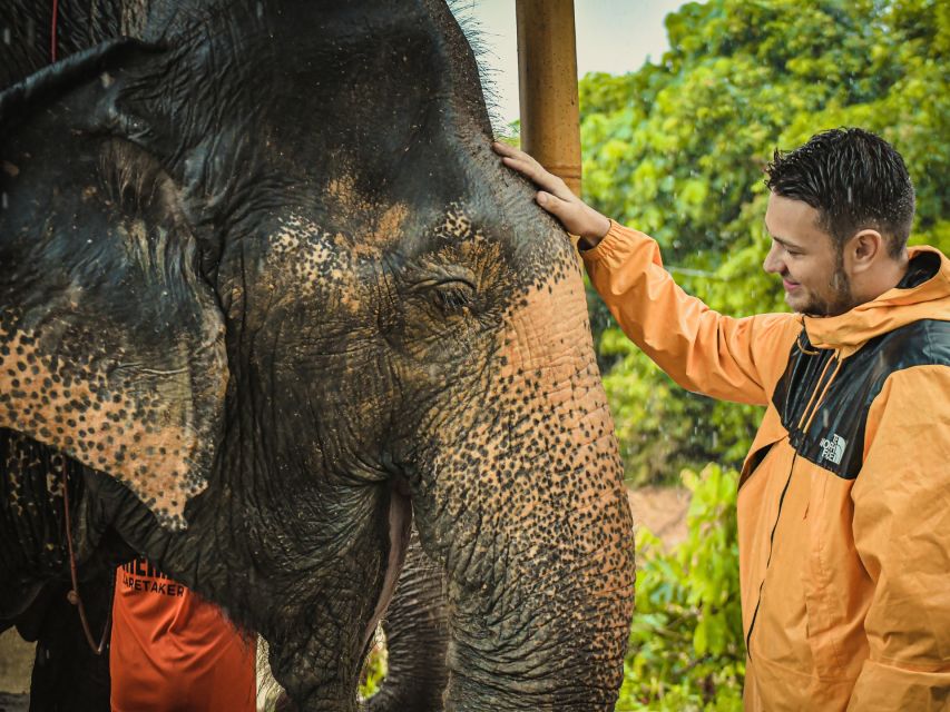 From Phuket: Elephant Jungle Sanctuary Feed and Shower Trip