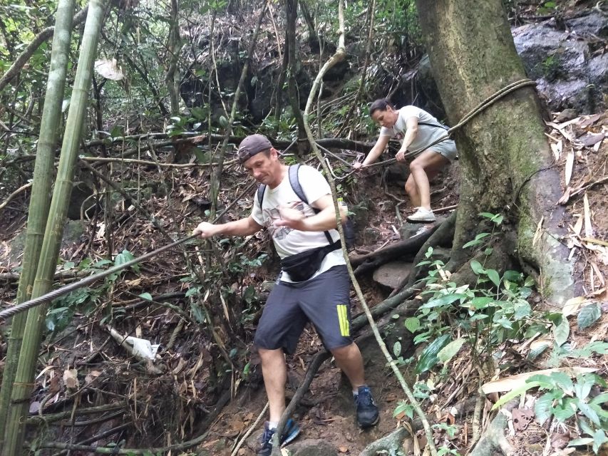 From Phuket: Guided Rainforest Hike With Lunch