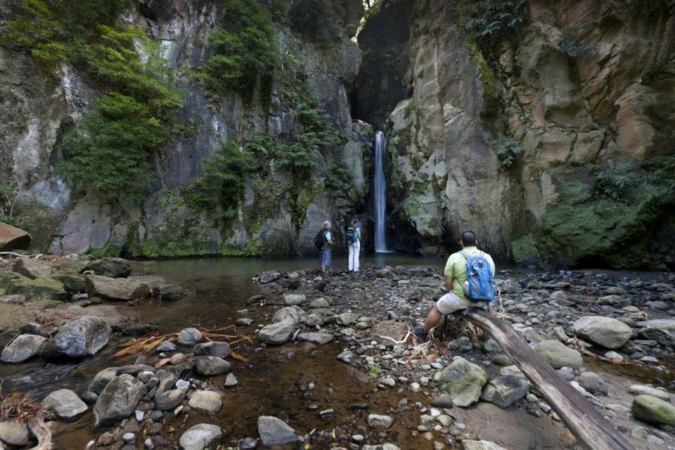 From Ponta Delgada: Guided Walking Tour to Salto Do Cabrito