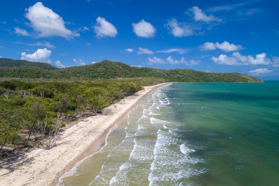 From Port Douglas: Daintree and Mossman Gorge Day Tour - Tour Details