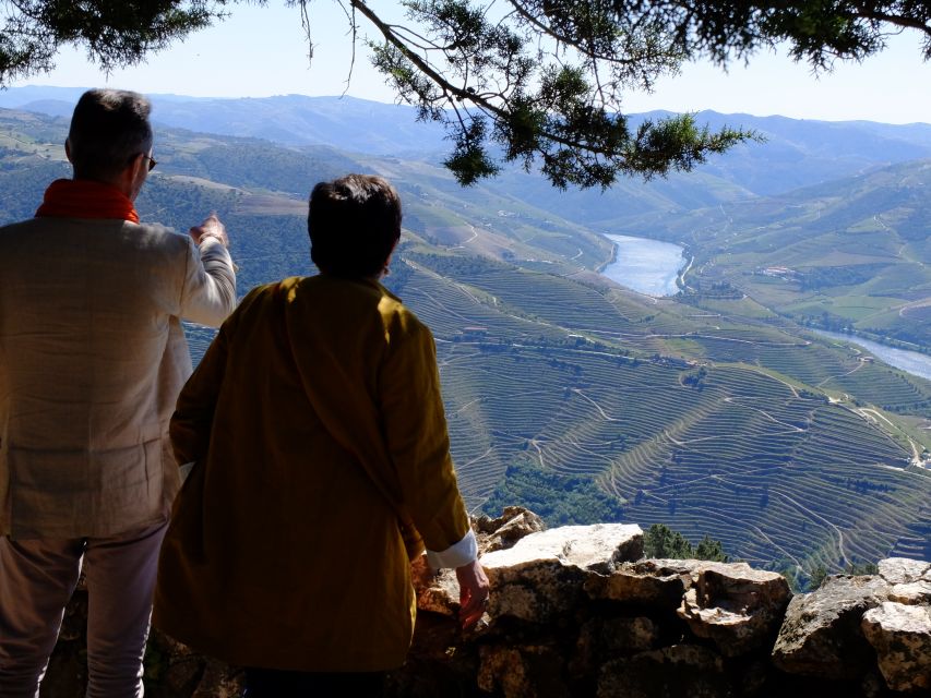 From Porto: Douro Region Private Food and Wine Day Tour