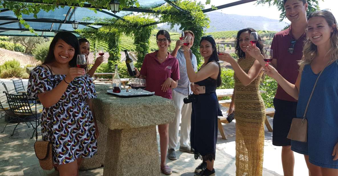 From Porto: Douro Valley 3 Vineyards Tour With Lunch