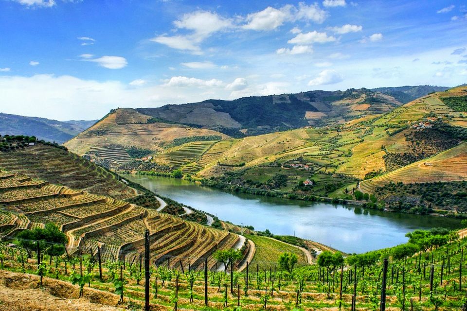 From Porto: Douro Valley Small Group Food and Wine Tour