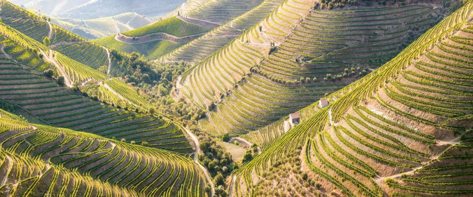 From Porto: Douro Valley W/ Boat Tour, Wine Tasting & Lunch